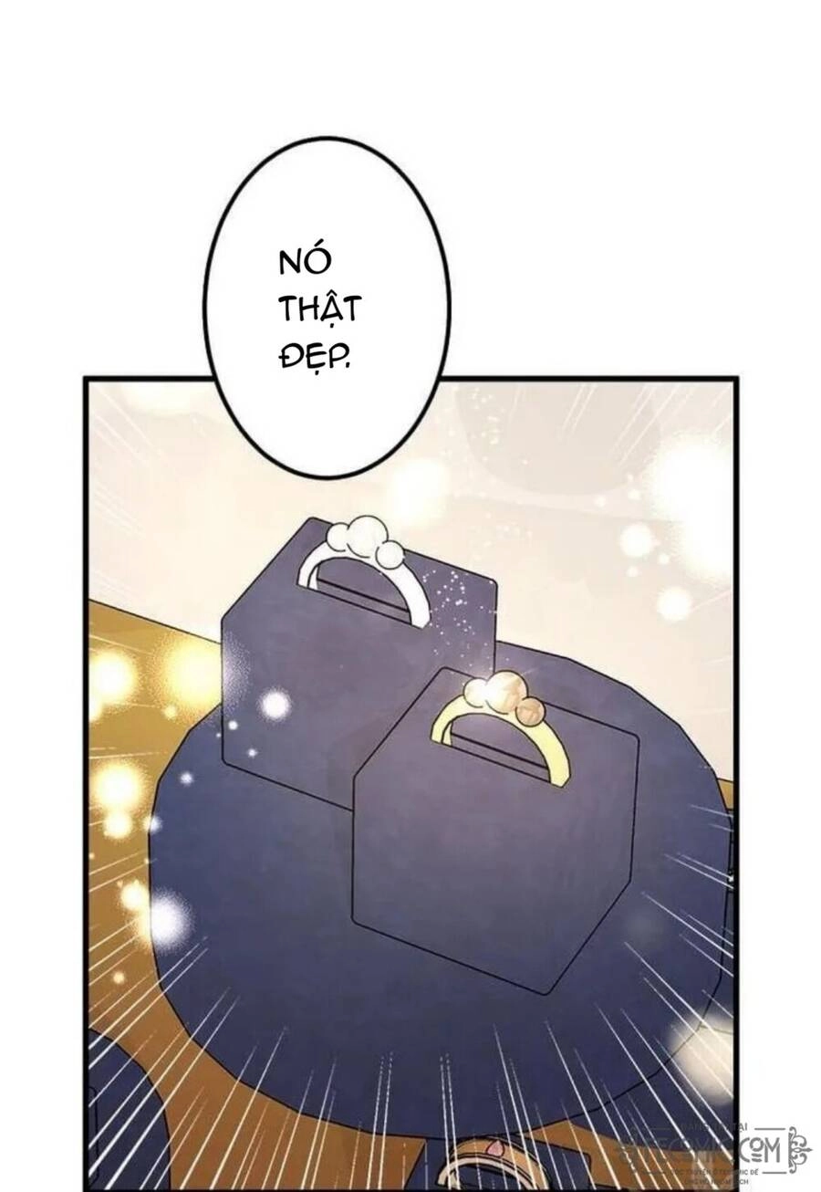 Những Người Anh Nguy Hiểm Của Công Nương Chapter 13.5 - 14