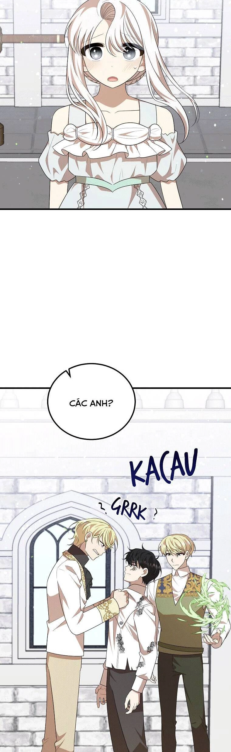 Những Người Anh Nguy Hiểm Của Công Nương Chapter 49 - 17