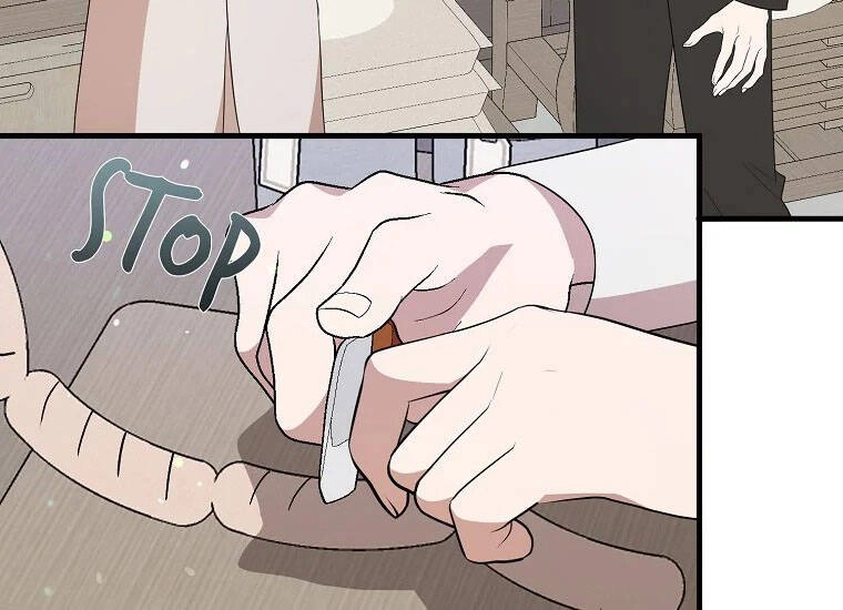 Những Người Anh Nguy Hiểm Của Công Nương Chapter 51 - 139