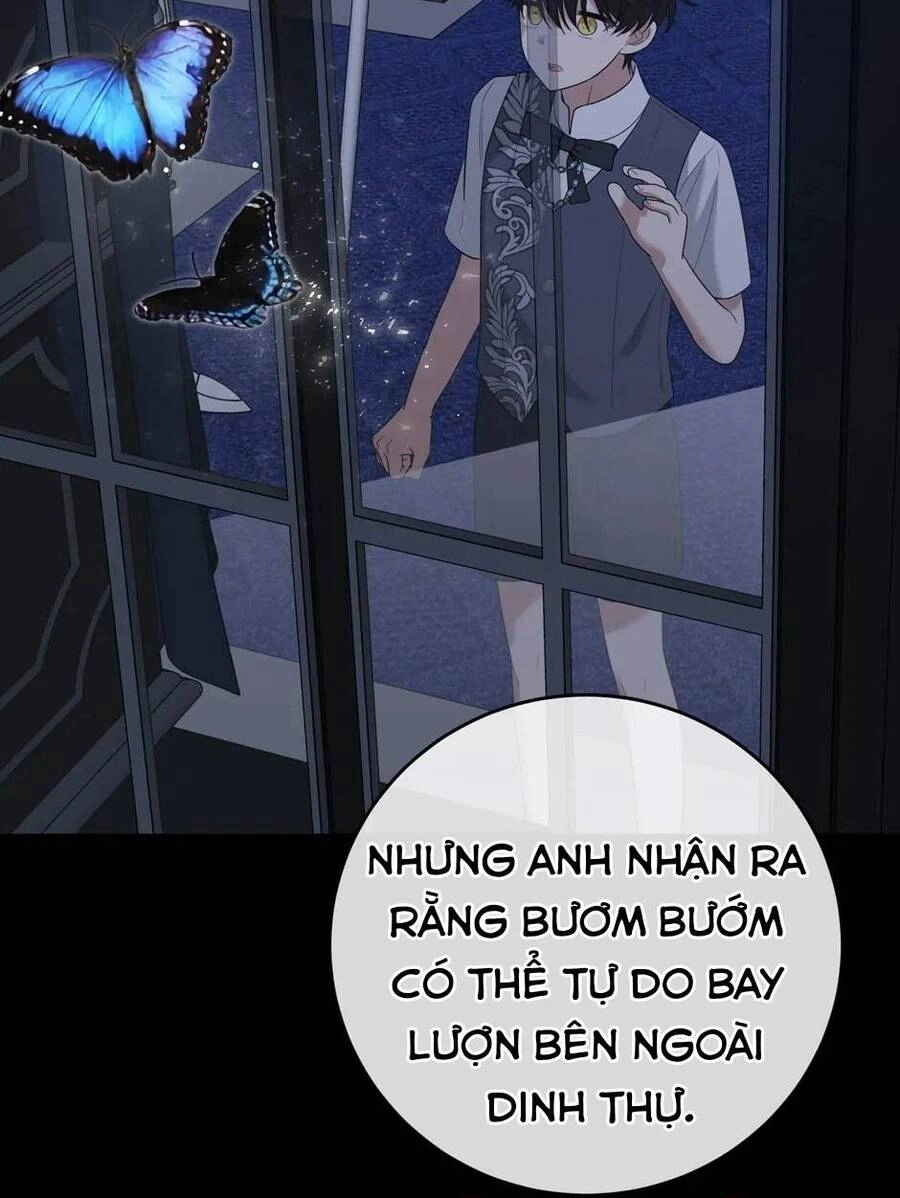 Những Người Anh Nguy Hiểm Của Công Nương Chapter 91 - 67