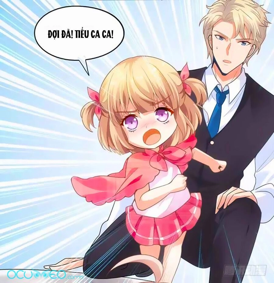 Một Thai Hai Bảo : Đưa Mami Về Nhà ! Chapter 15 - 12