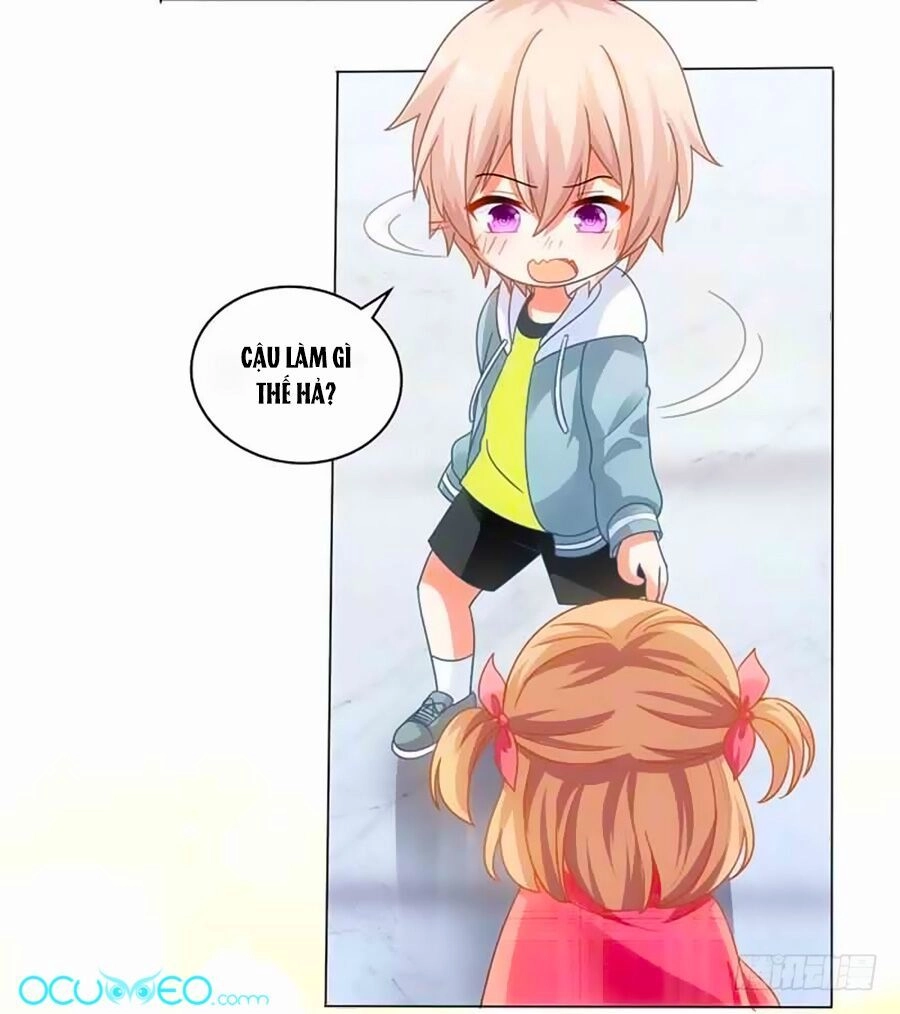 Một Thai Hai Bảo : Đưa Mami Về Nhà ! Chapter 15 - 15