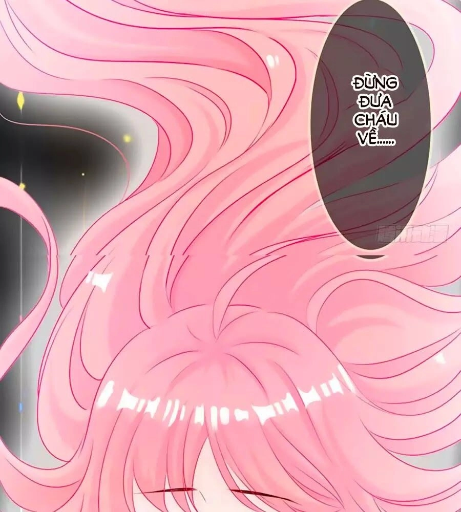 Một Thai Hai Bảo : Đưa Mami Về Nhà ! Chapter 28 - 39