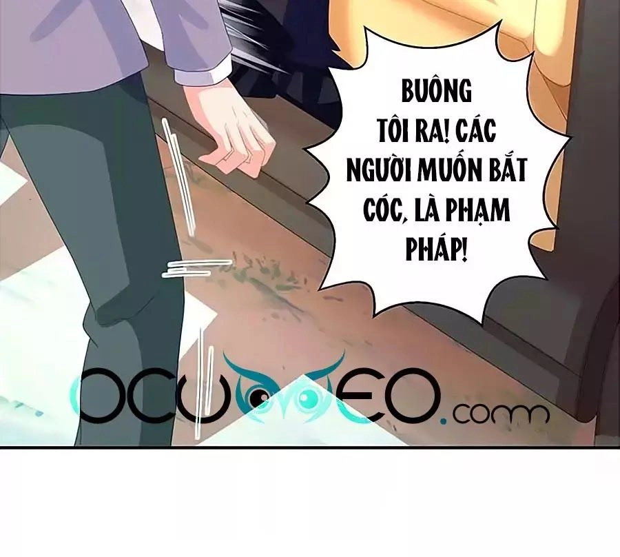 Một Thai Hai Bảo : Đưa Mami Về Nhà ! Chapter 76 - 33