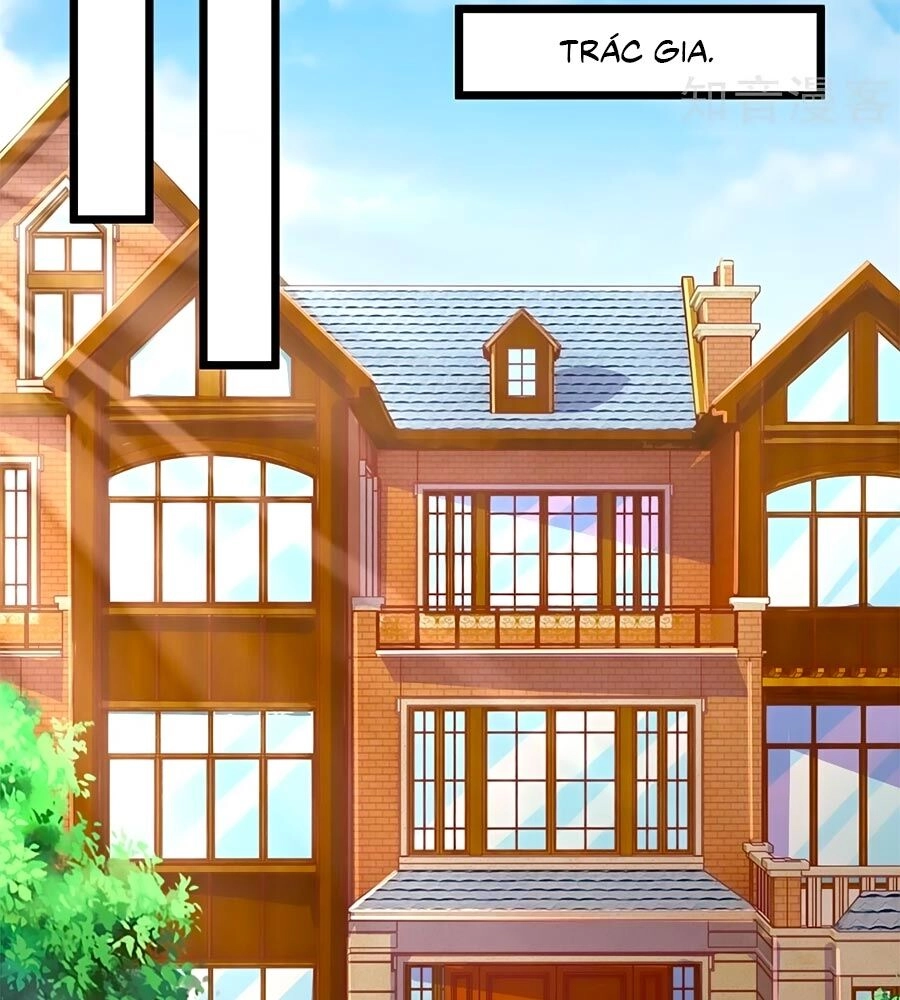 Một Thai Hai Bảo : Đưa Mami Về Nhà ! Chapter 227 - 20