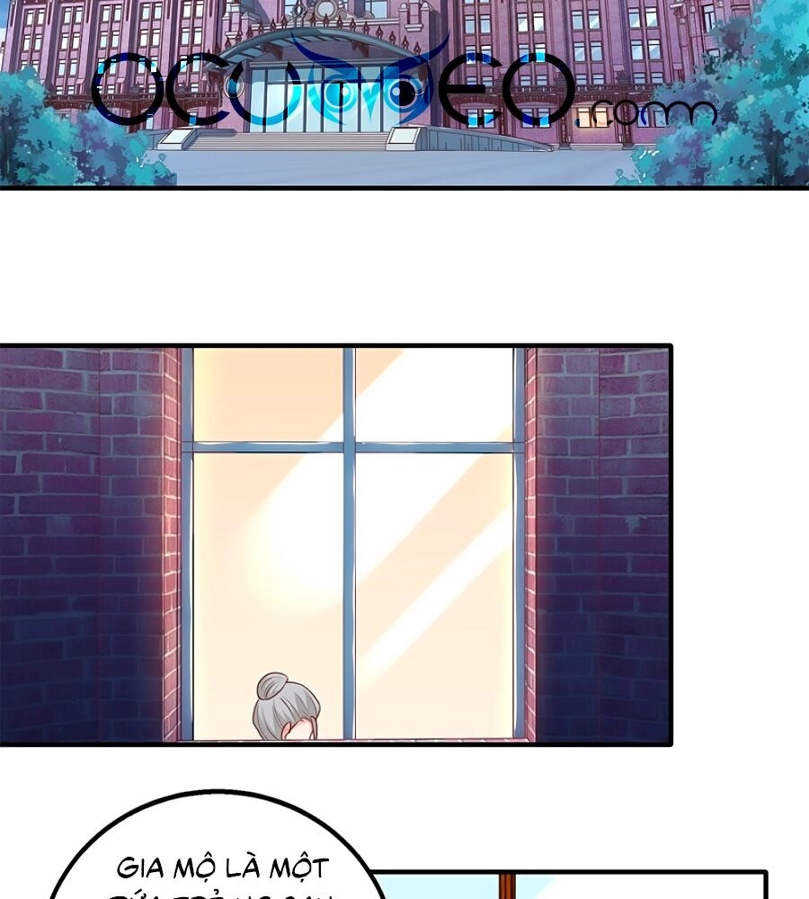 Một Thai Hai Bảo : Đưa Mami Về Nhà ! Chapter 246 - 28