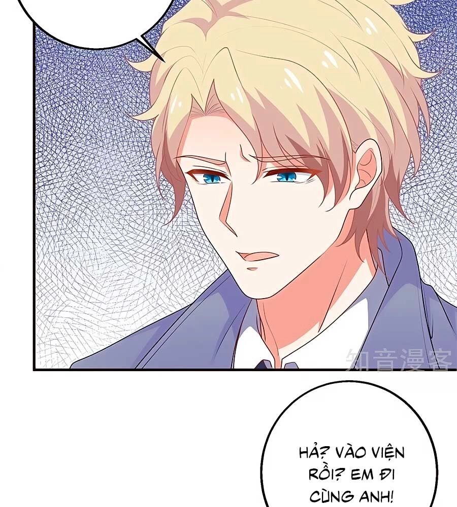 Một Thai Hai Bảo : Đưa Mami Về Nhà ! Chapter 259 - 36