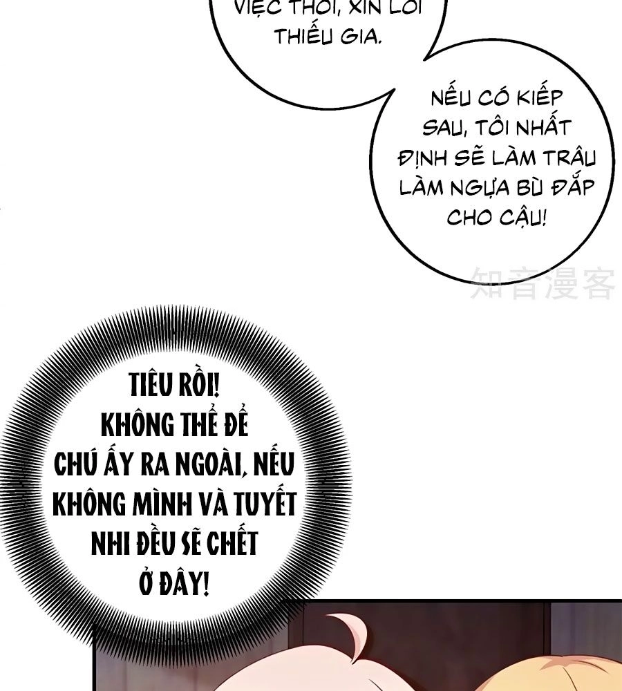 Một Thai Hai Bảo : Đưa Mami Về Nhà ! Chapter 276 - 25