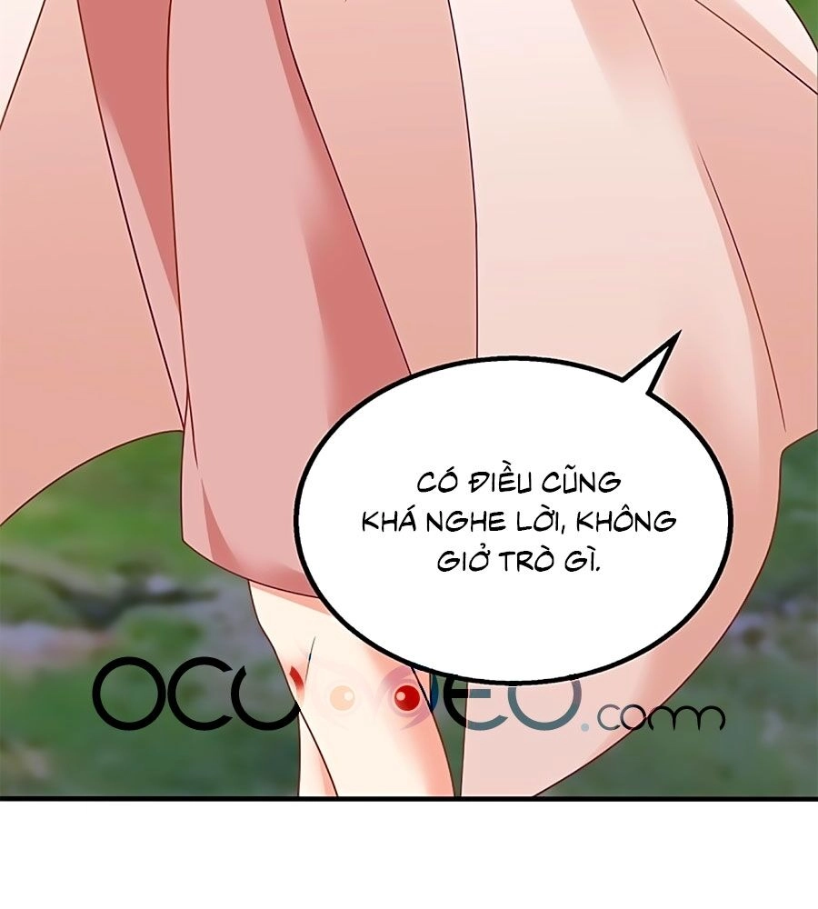 Một Thai Hai Bảo : Đưa Mami Về Nhà ! Chapter 277 - 8