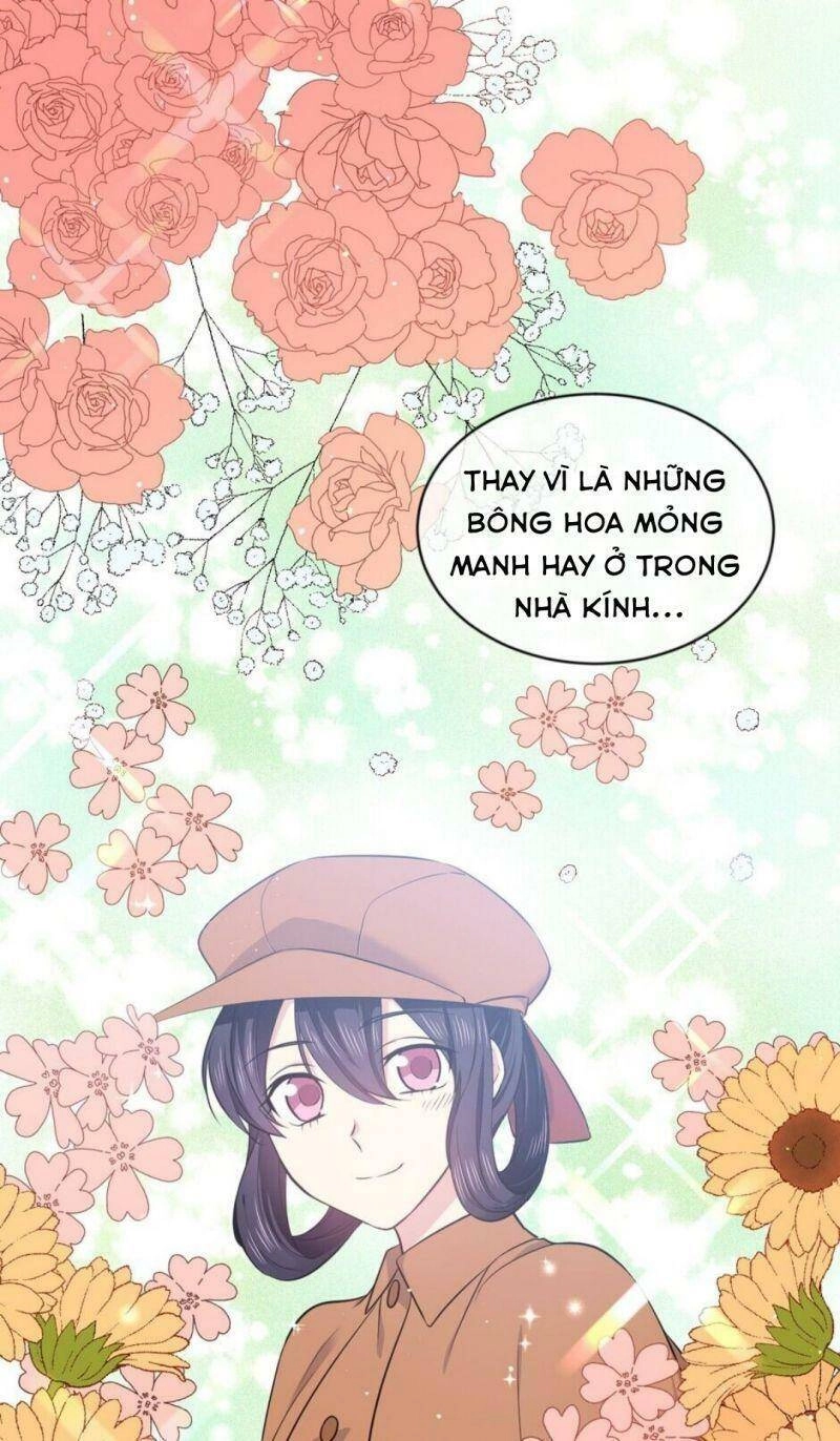 Mục Tiêu Là Cuộc Sống Hoàn Hảo Bất Khả Xâm Phạm Chapter 23 - 20