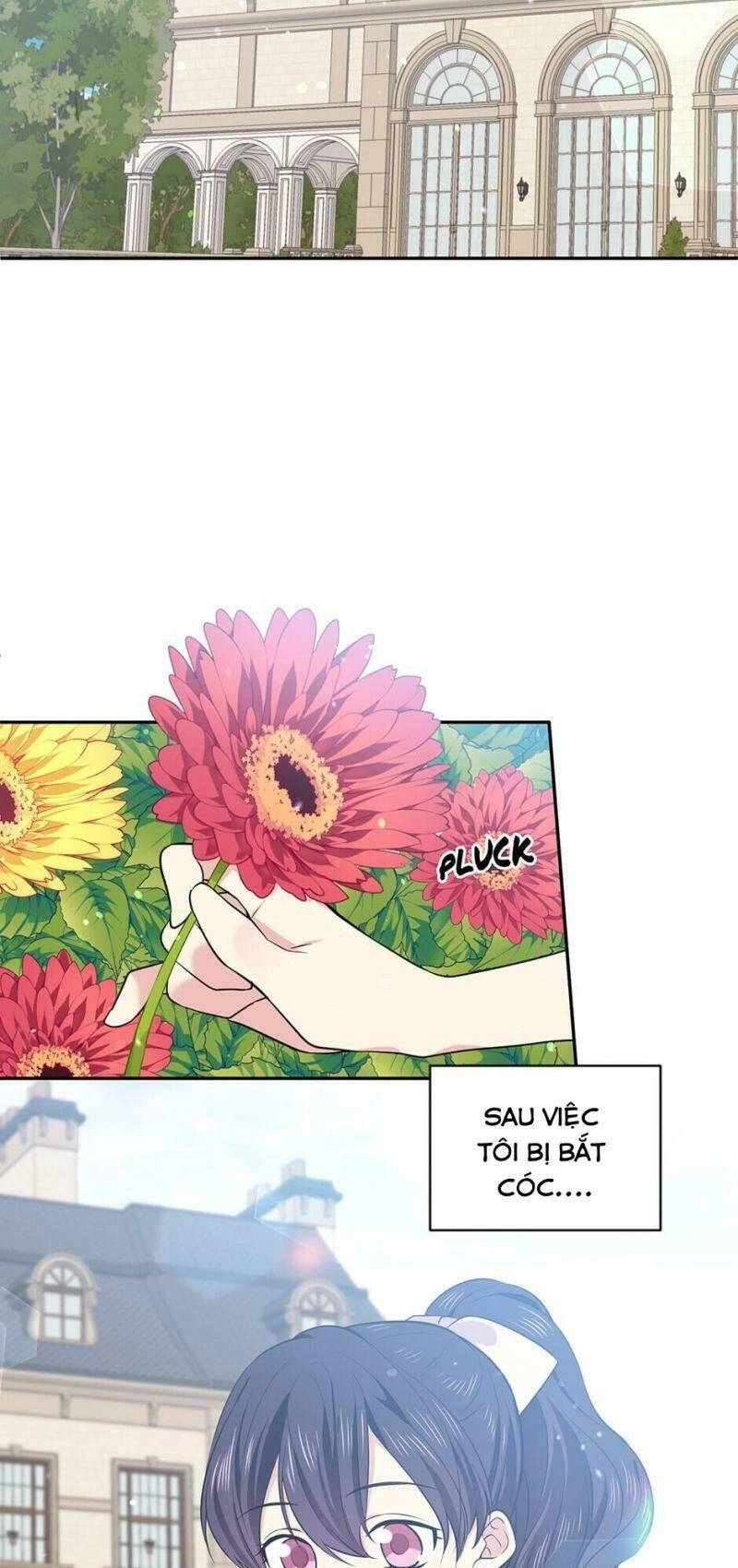 Mục Tiêu Là Cuộc Sống Hoàn Hảo Bất Khả Xâm Phạm Chapter 25 - 49