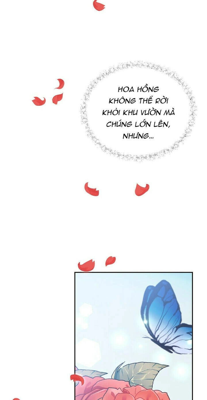 Mục Tiêu Là Cuộc Sống Hoàn Hảo Bất Khả Xâm Phạm Chapter 61 - 35