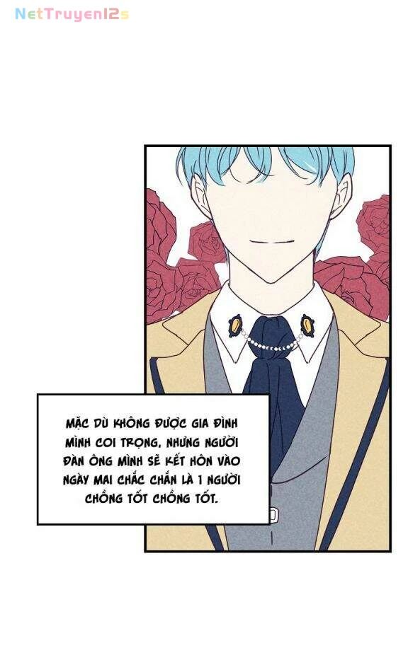 Đừng Chọc Đứa Em Gái Bé Bỏng Của Chúng Tôi Chapter 1 - 41