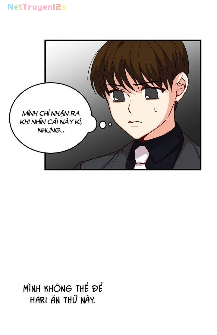 Đừng Chọc Đứa Em Gái Bé Bỏng Của Chúng Tôi Chapter 14 - 8