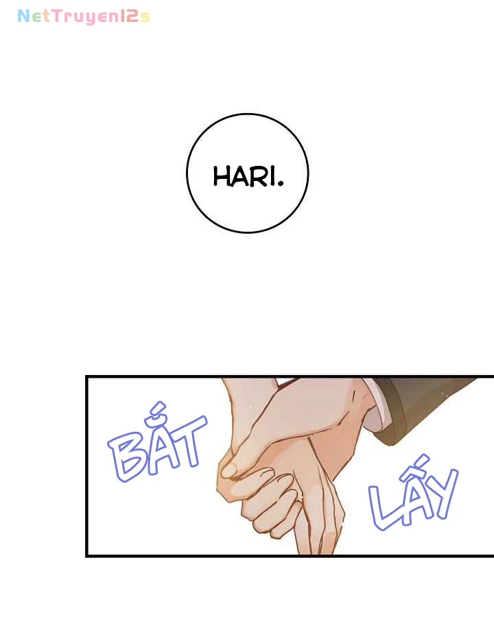 Đừng Chọc Đứa Em Gái Bé Bỏng Của Chúng Tôi Chapter 43 - 56