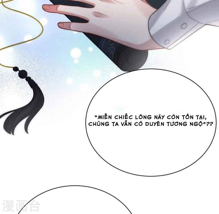 Mỗi Ngày Một Nụ Hôn Chapter 1 - 41