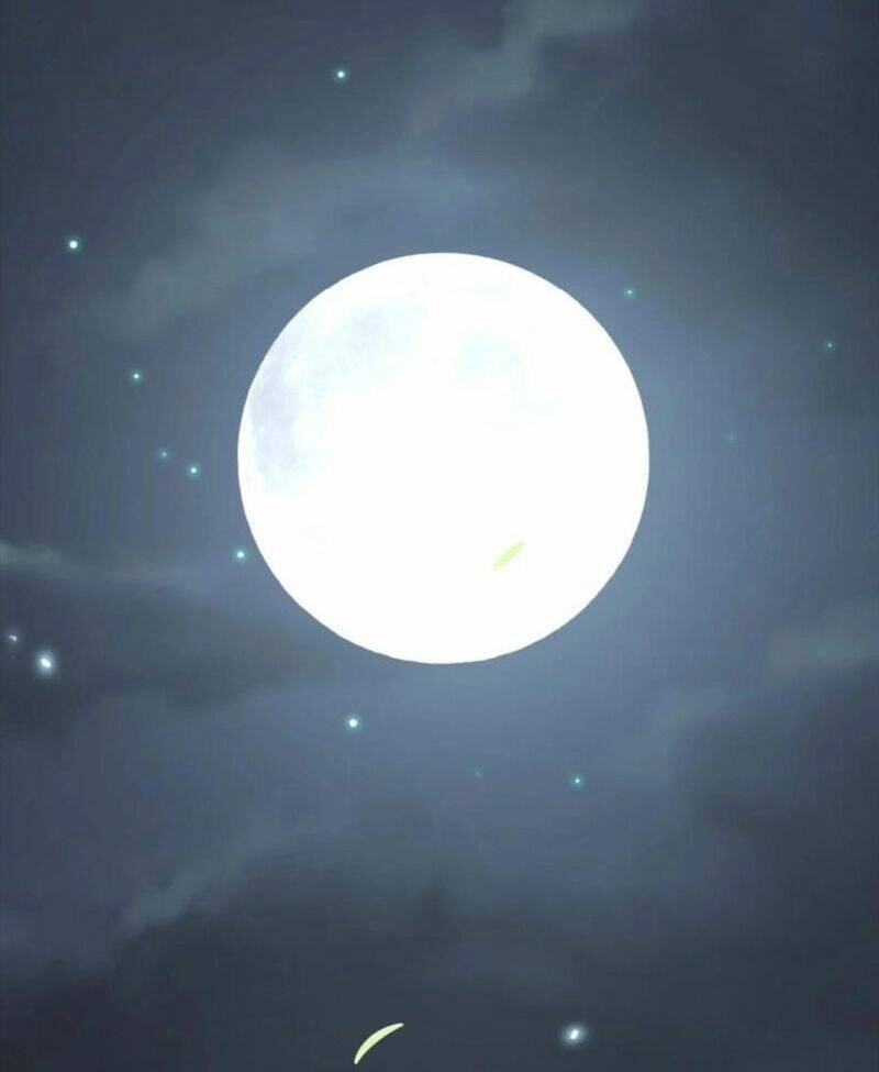 Hảo Đồ Nhi Hãy Tha Cho Vi Sư Chapter 157 - 16