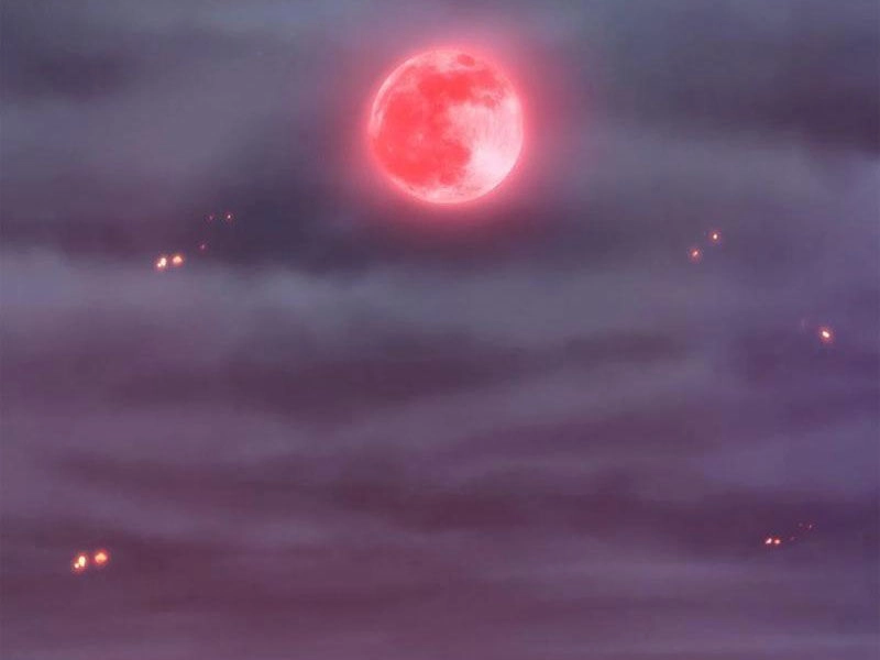 Hảo Đồ Nhi Hãy Tha Cho Vi Sư Chapter 223 - 31