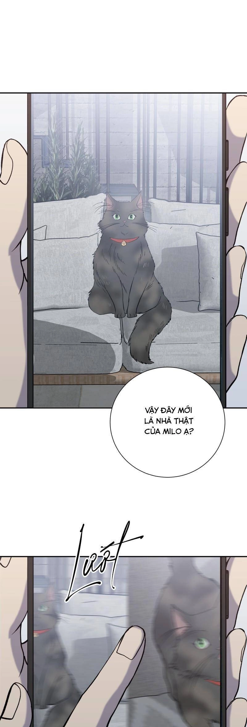 Anh Chàng Lầu Trên Chapter 27 - 2