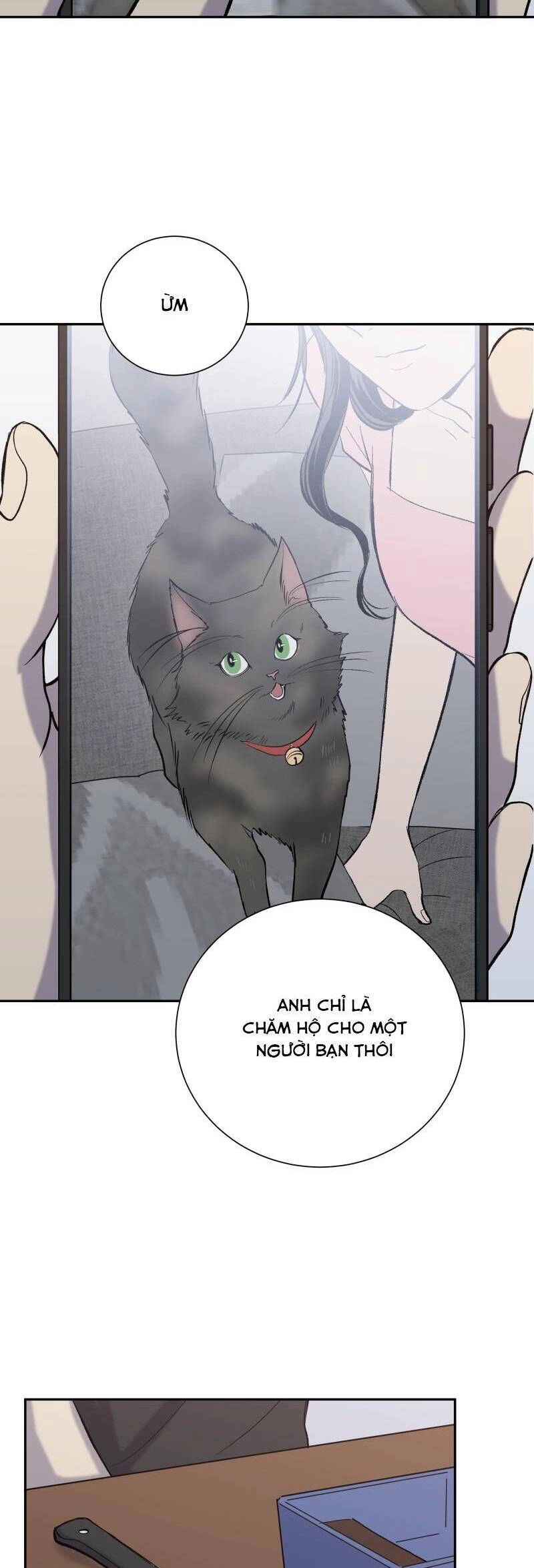 Anh Chàng Lầu Trên Chapter 27 - 3