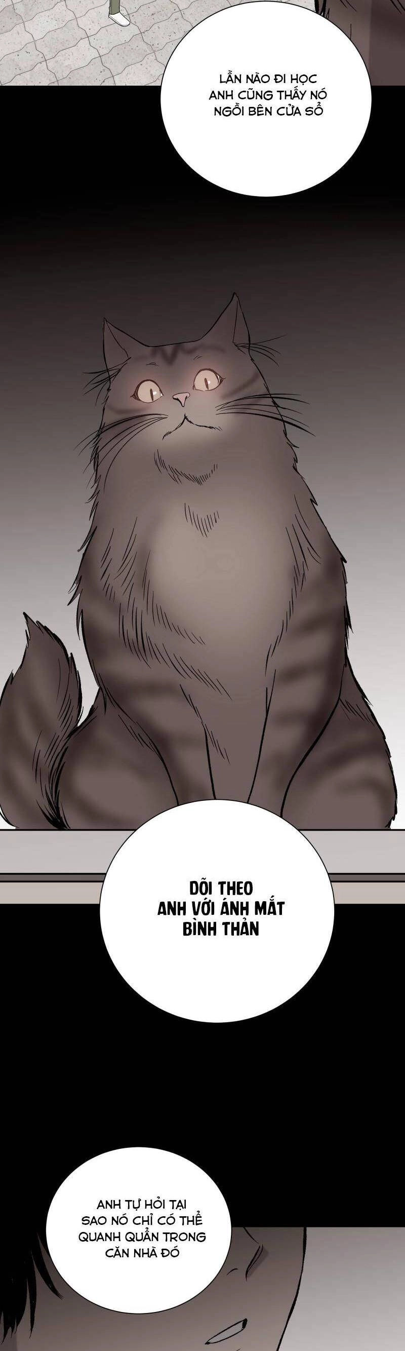 Anh Chàng Lầu Trên Chapter 27 - 7