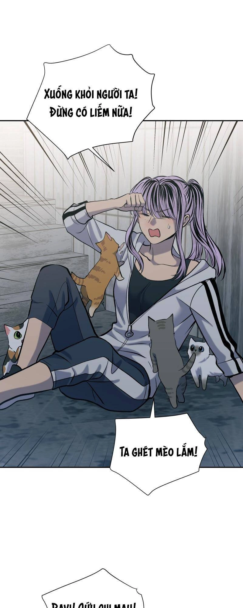 Anh Chàng Lầu Trên Chapter 48 - 19