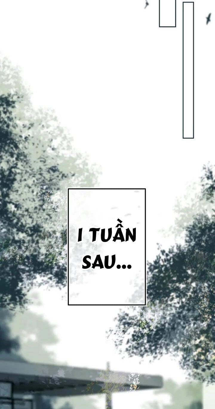 Đó Không Phải Chị Gái Tôi Chapter 40 - 21