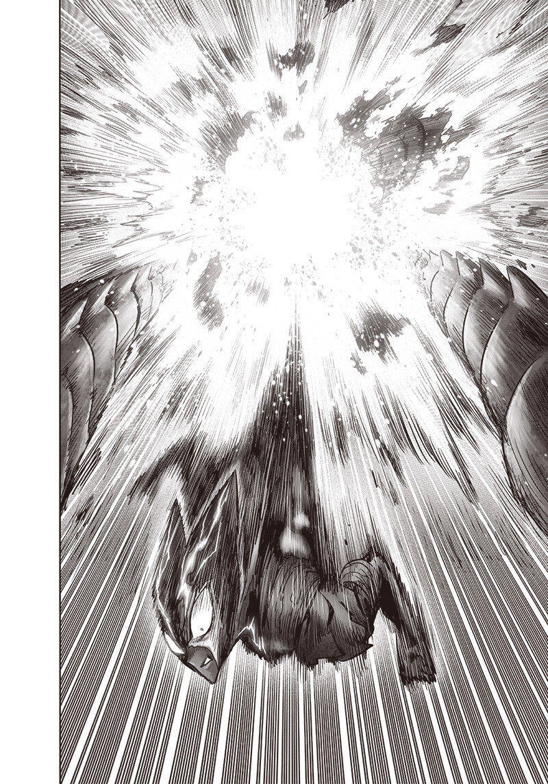 Onepunch Man Chapter 206 - 11