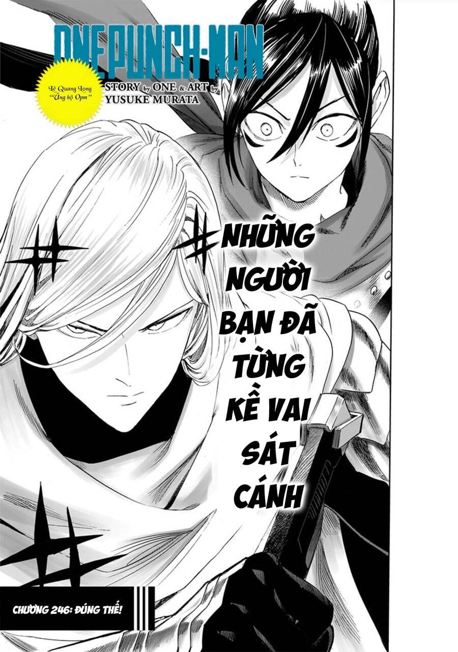 Onepunch Man Chapter 246 - 3