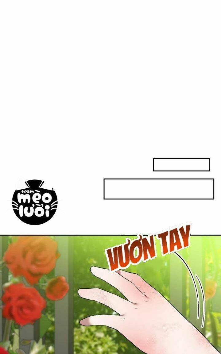 Bước Tới Con Đường Hoa Chapter 27 - 24