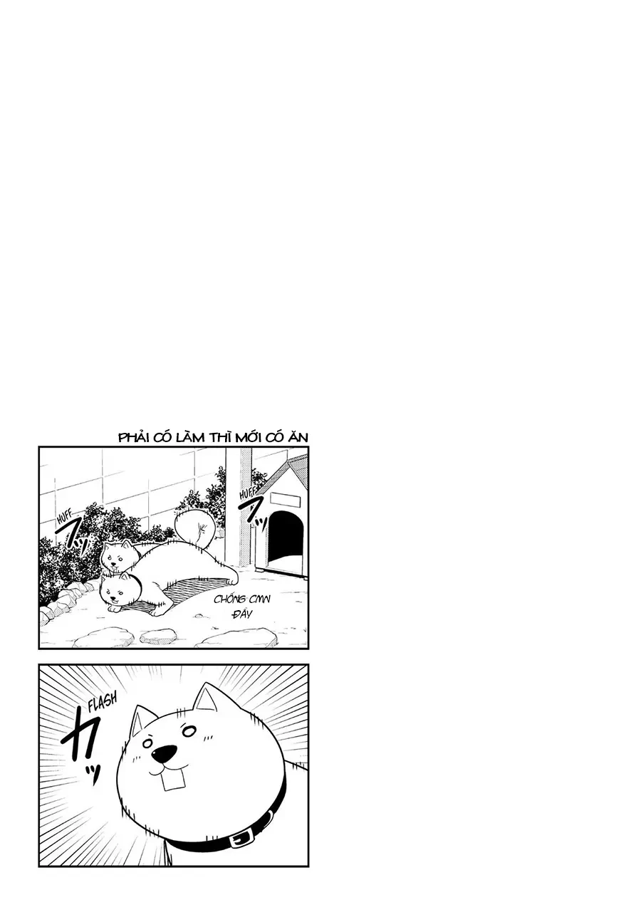 Aho Girl Chapter 121 - 25