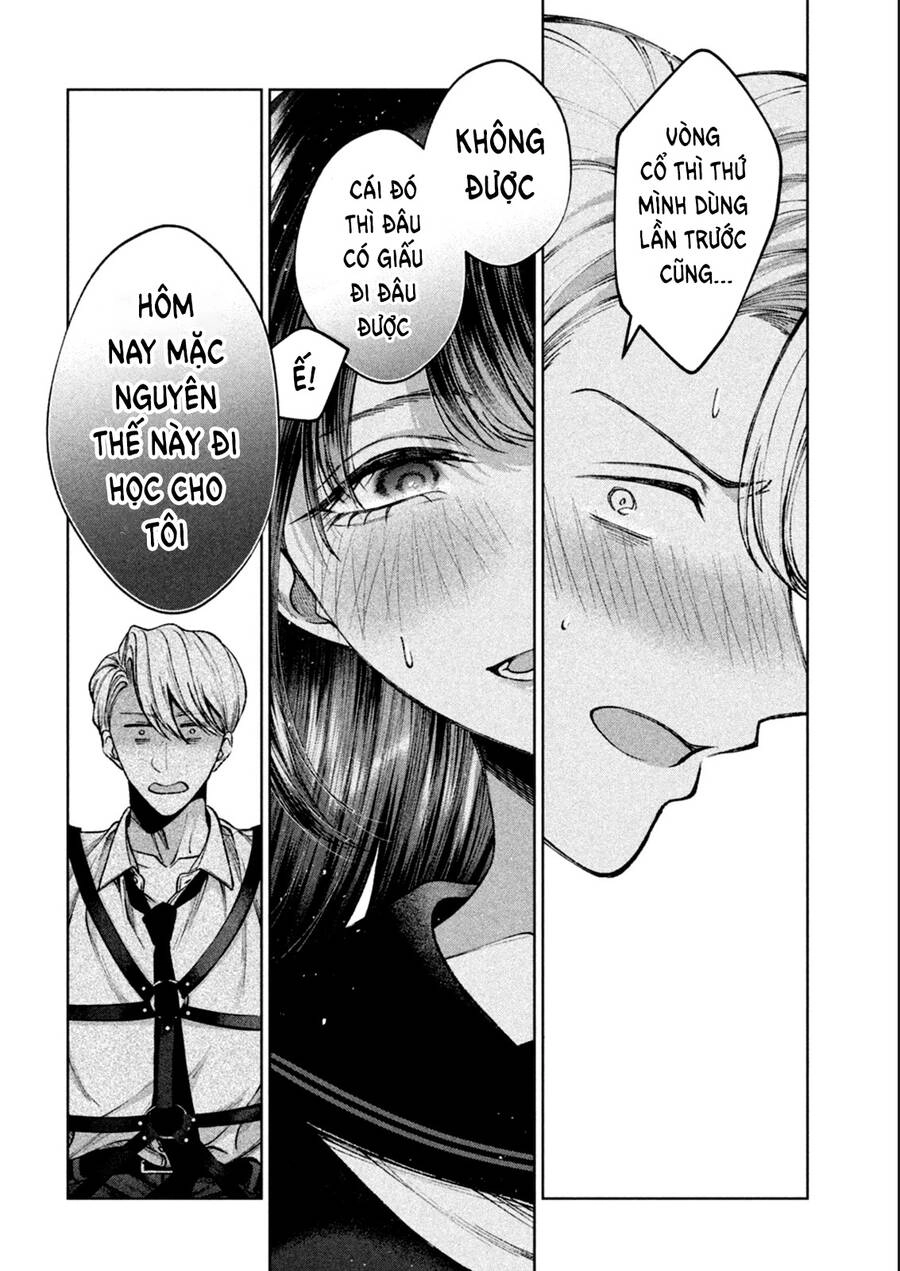 Hijiri Kun Chỉ Muốn Sống Thanh Liêm Chapter 6 - 11