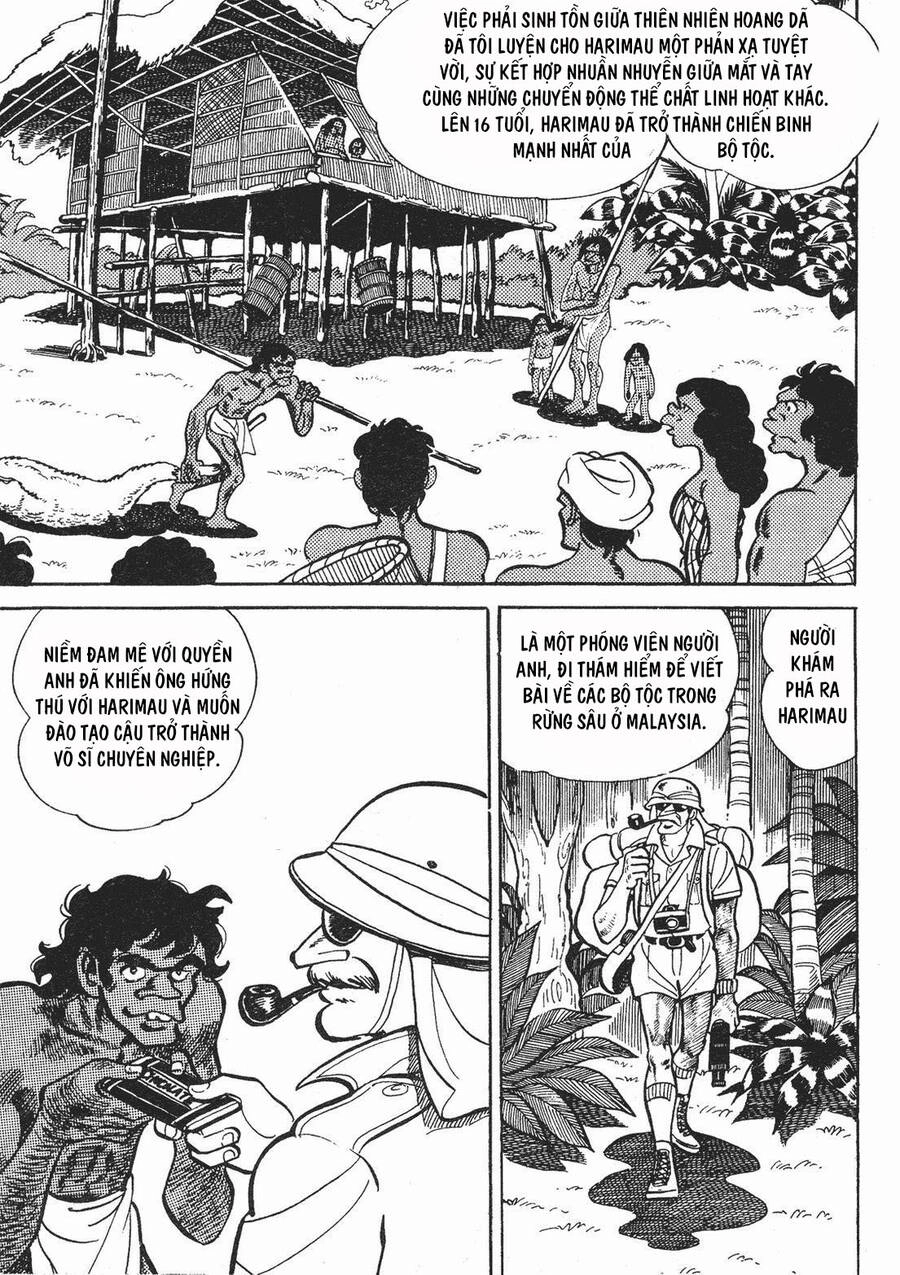 Ashita No Joe Chapter 172 - 13