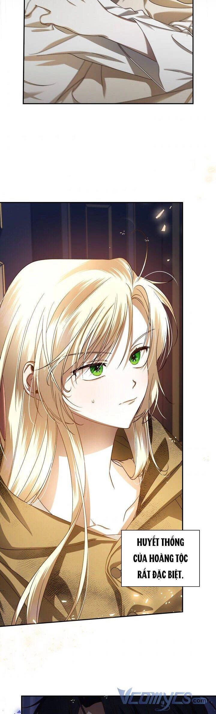 Phương Pháp Che Giấu Đứa Con Của Hoàng Đế Chapter 2 - 28