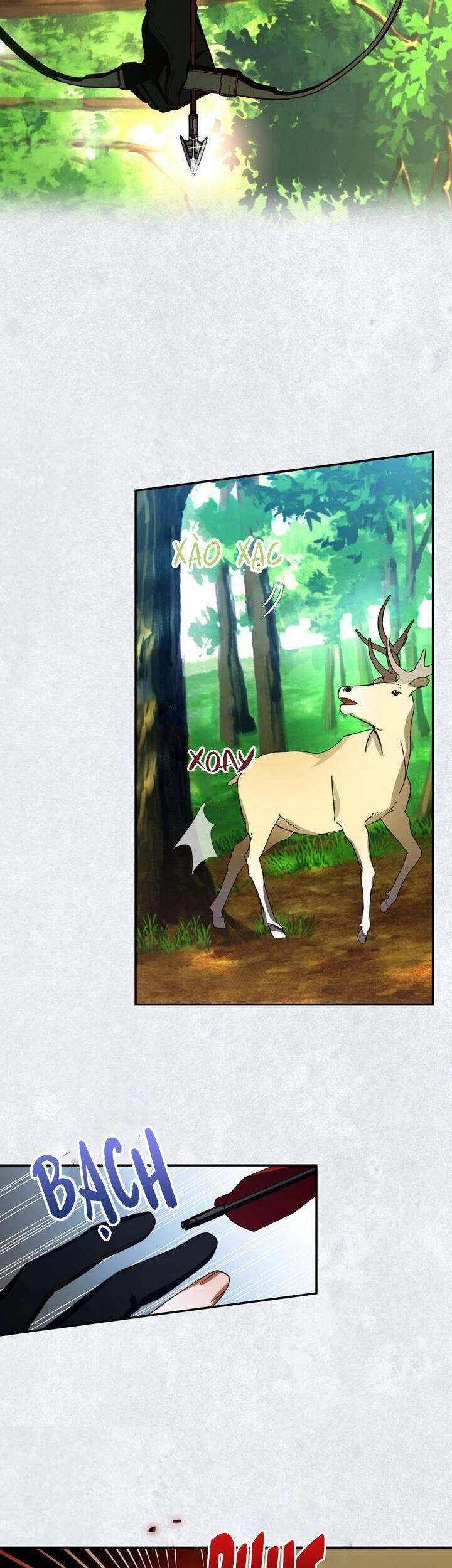 Phương Pháp Che Giấu Đứa Con Của Hoàng Đế Chapter 8 - 28