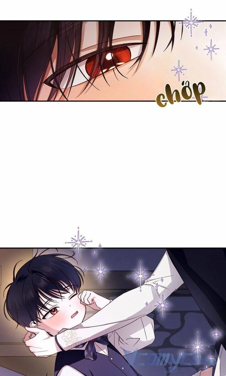 Phương Pháp Che Giấu Đứa Con Của Hoàng Đế Chapter 17 - 19