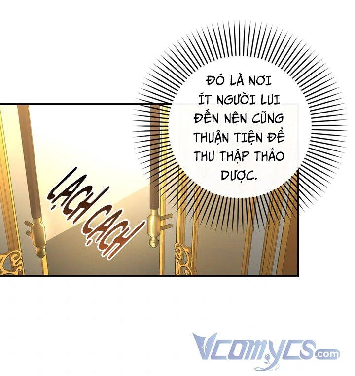 Phương Pháp Che Giấu Đứa Con Của Hoàng Đế Chapter 37 - 42