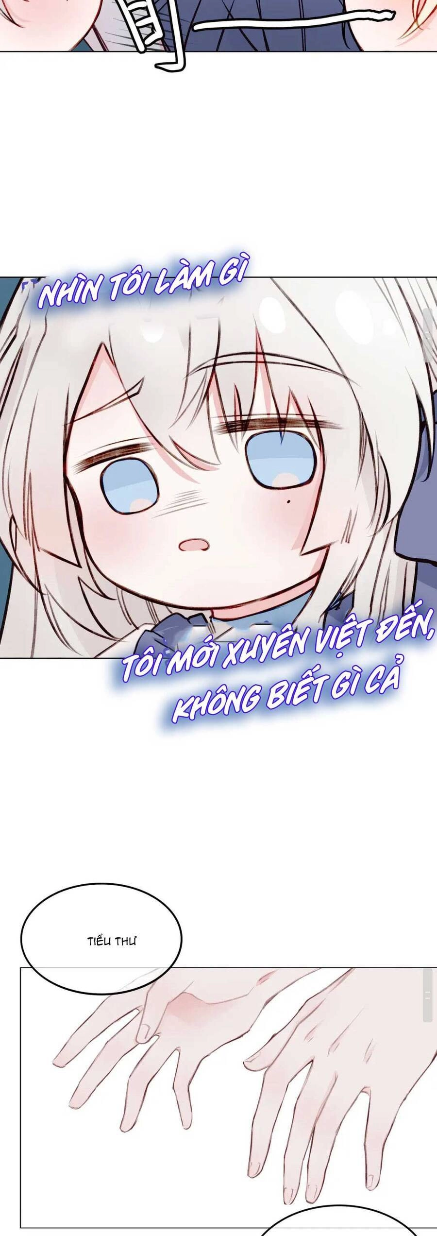 Nghe Nói Tôi Là Đại Tiểu Thư Phản Diện Chapter 5 - 13