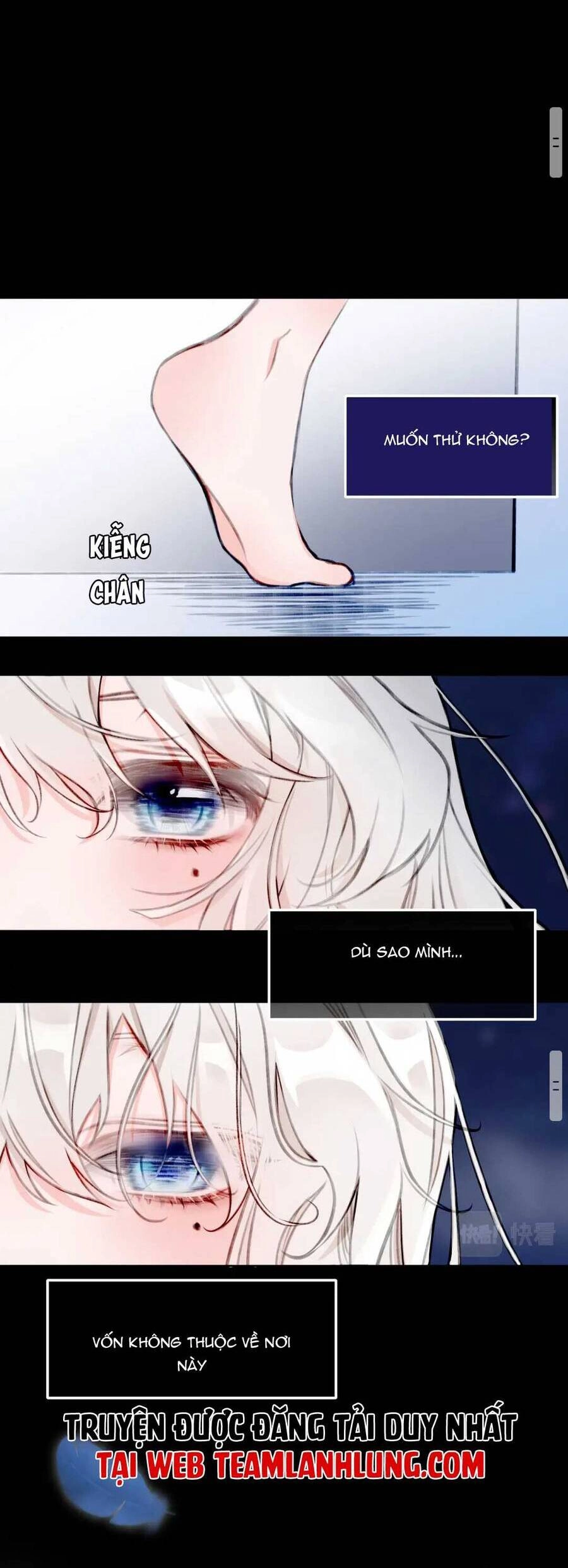 Nghe Nói Tôi Là Đại Tiểu Thư Phản Diện Chapter 6 - 5