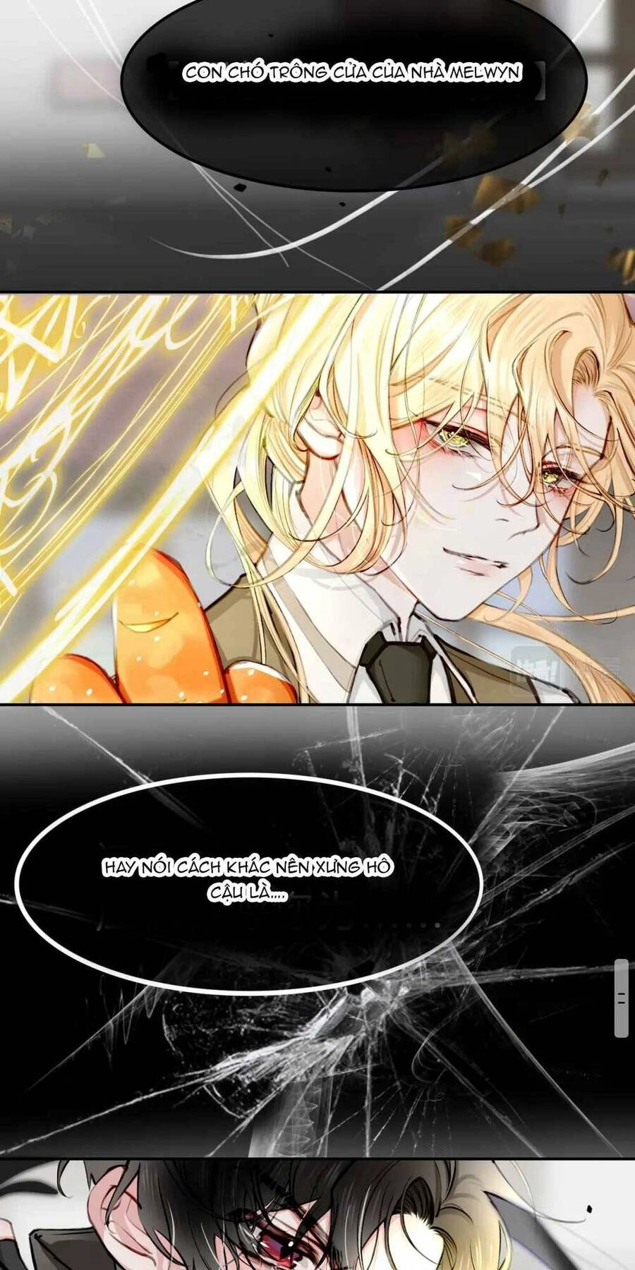 Nghe Nói Tôi Là Đại Tiểu Thư Phản Diện Chapter 13 - 12