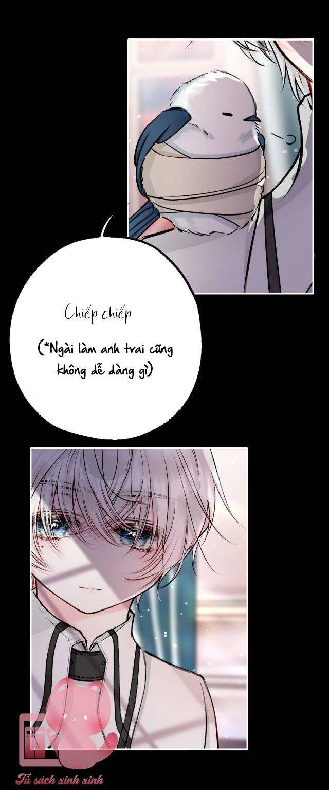 Nghe Nói Tôi Là Đại Tiểu Thư Phản Diện Chapter 18 - 39