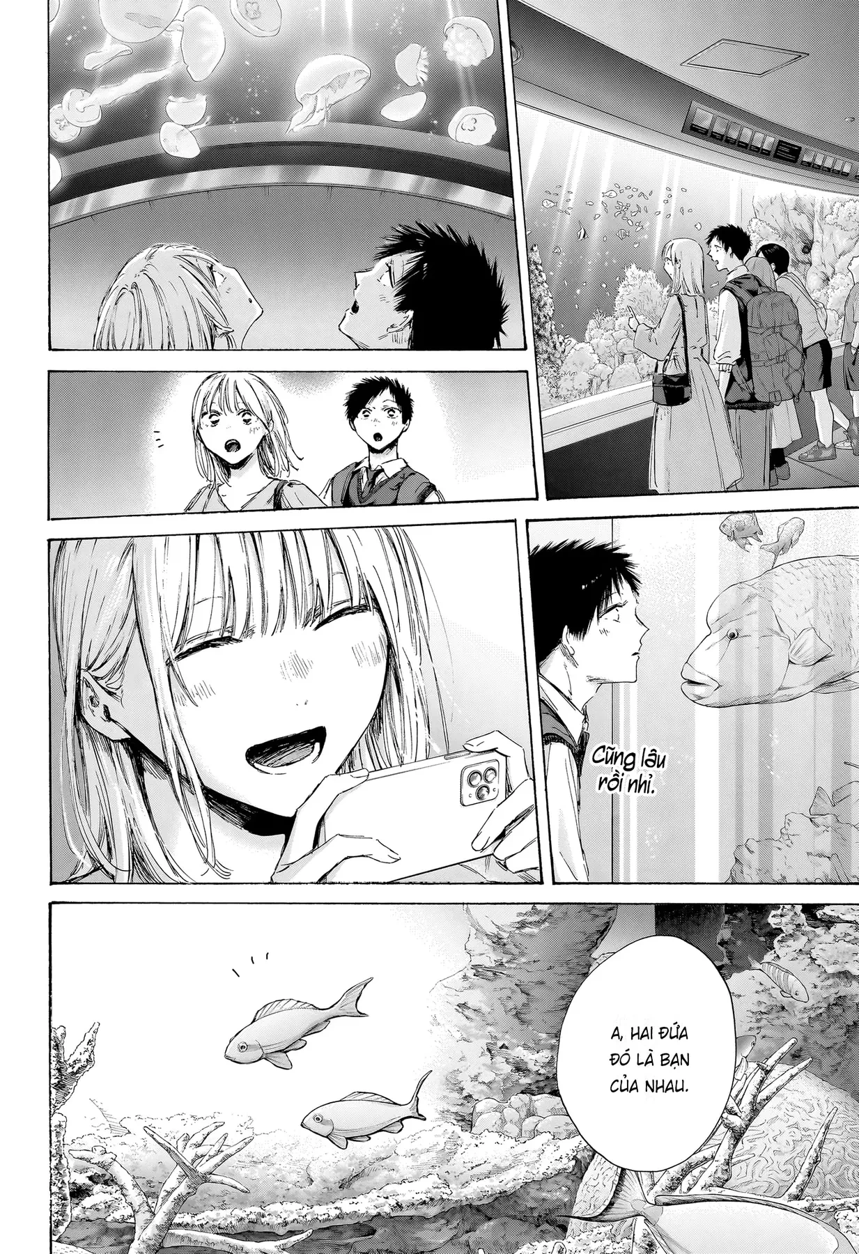 Blue Box Chapter  235 - 6