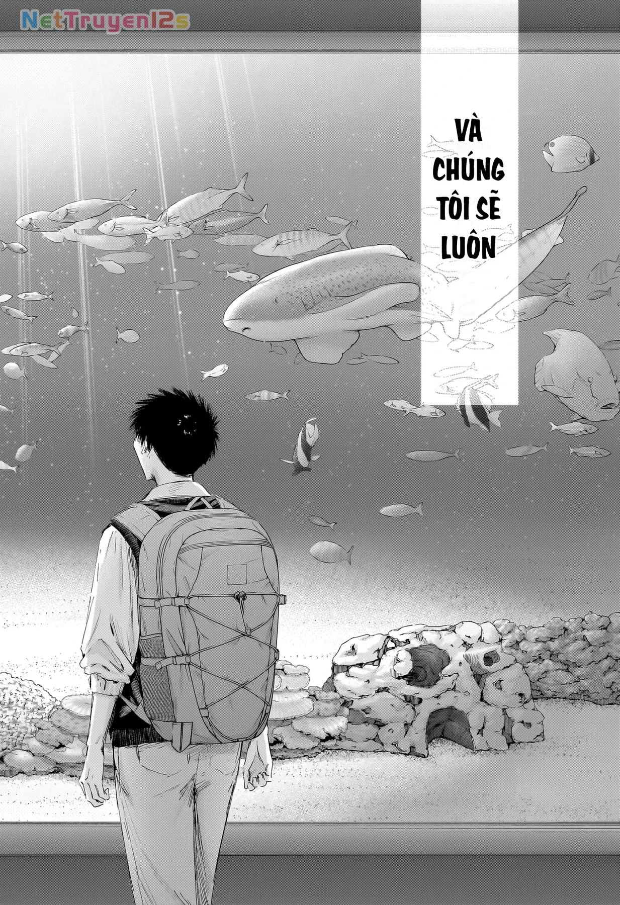 Blue Box Chapter  235 - 10