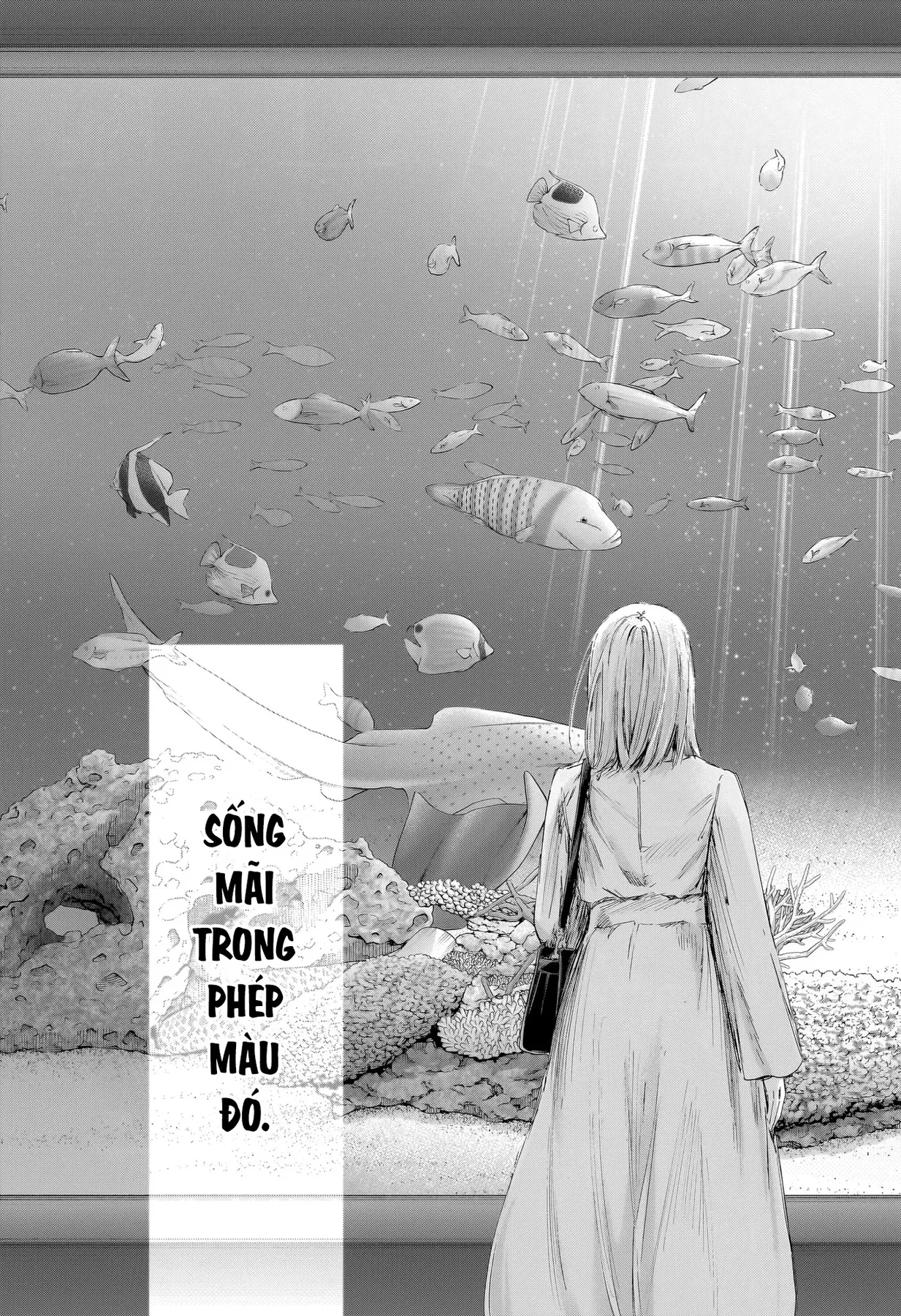Blue Box Chapter  235 - 11