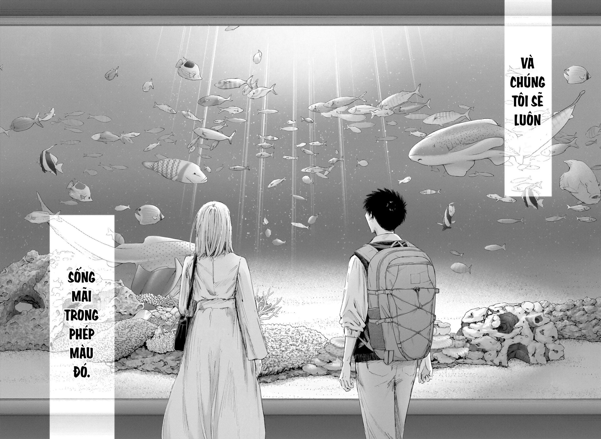 Blue Box Chapter  235 - 12
