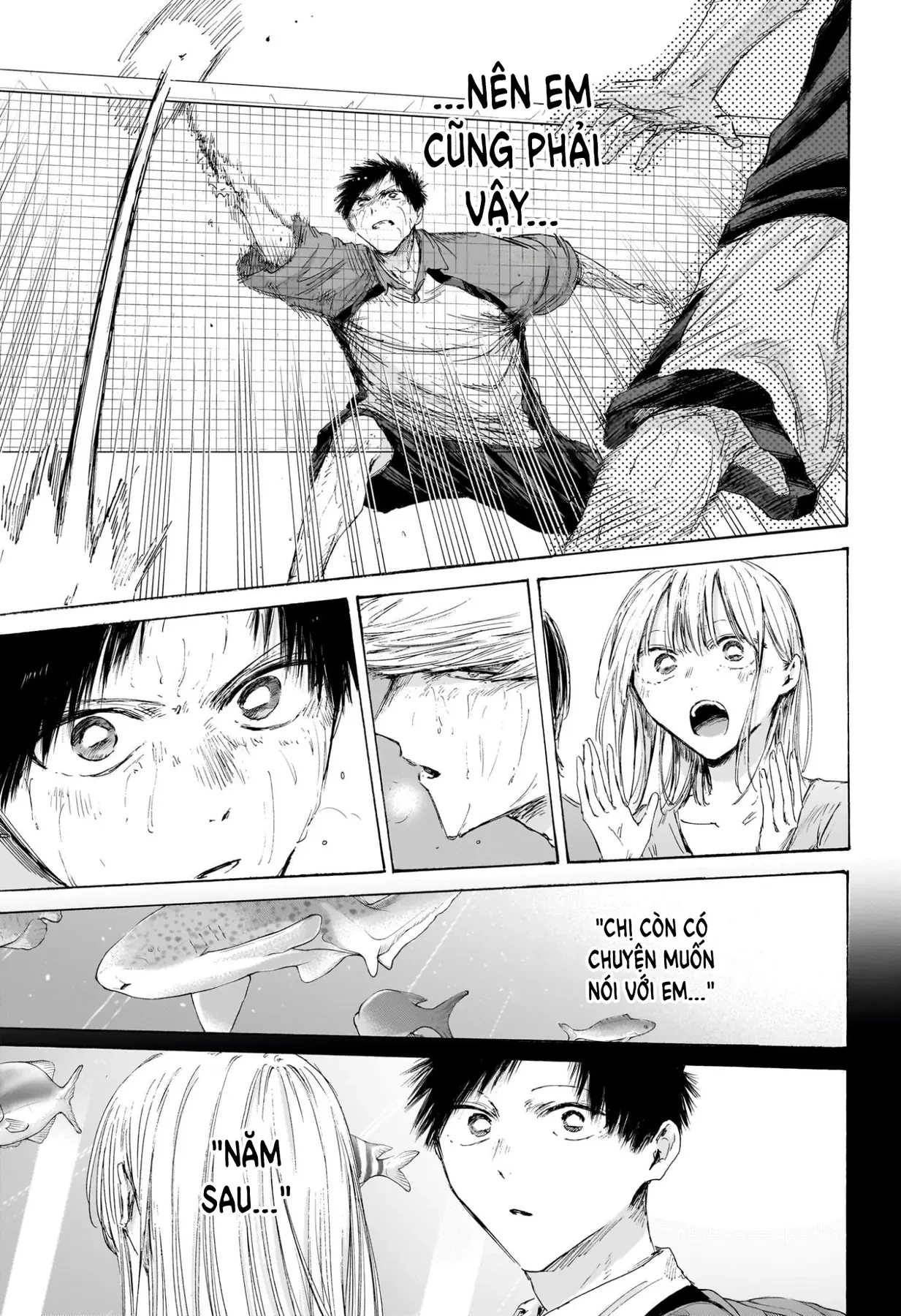 Blue Box Chapter  244 - 11