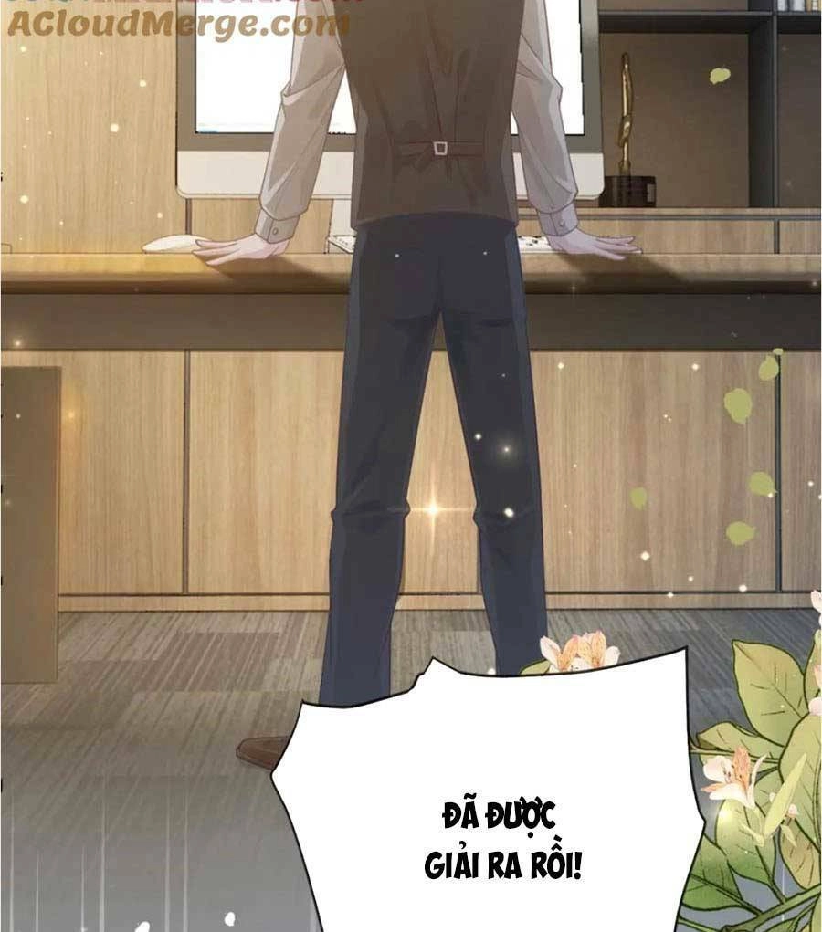 Trở Về Thế Giới Xuyên Nhanh Đại Lão Được Cưng Hết Mực Chapter 19 - 10