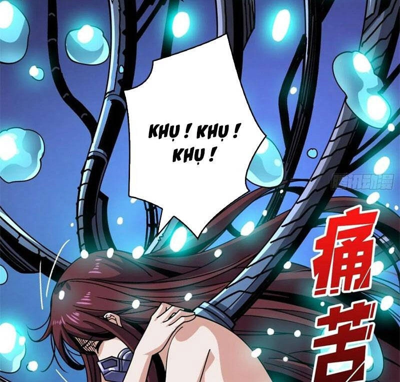 Vừa Chơi Đã Có Tài Khoản Vương Giả Chapter 254 - 66