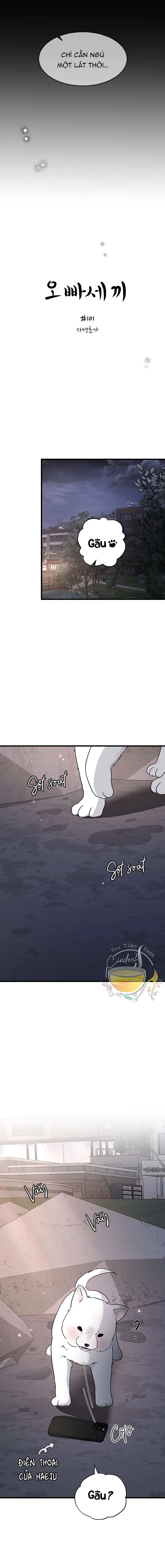 Ba Người Anh Trai Cực Phẩm Của Tôi Chapter 101 - 3