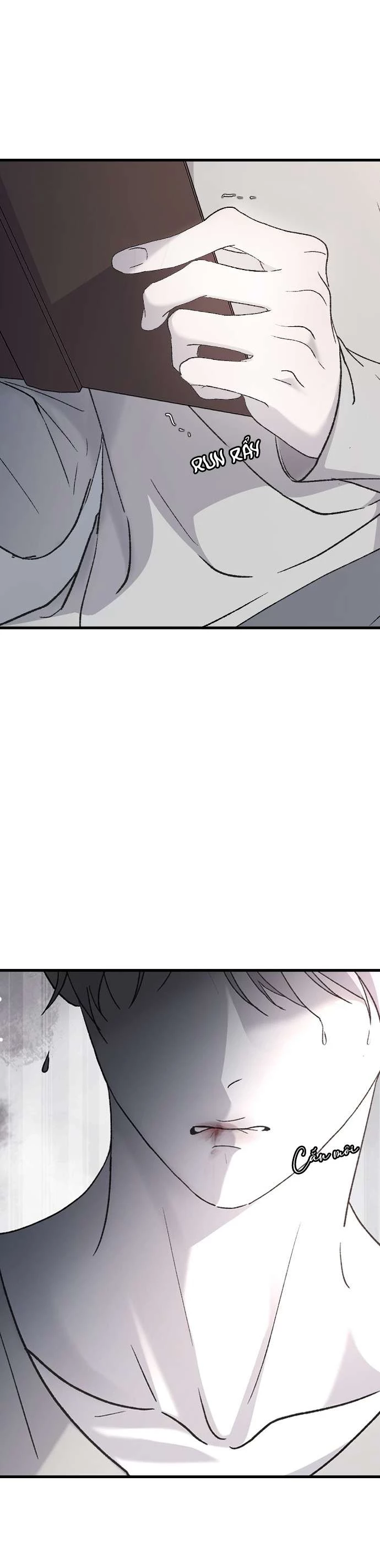 Ba Người Anh Trai Cực Phẩm Của Tôi Chapter 87 - 20